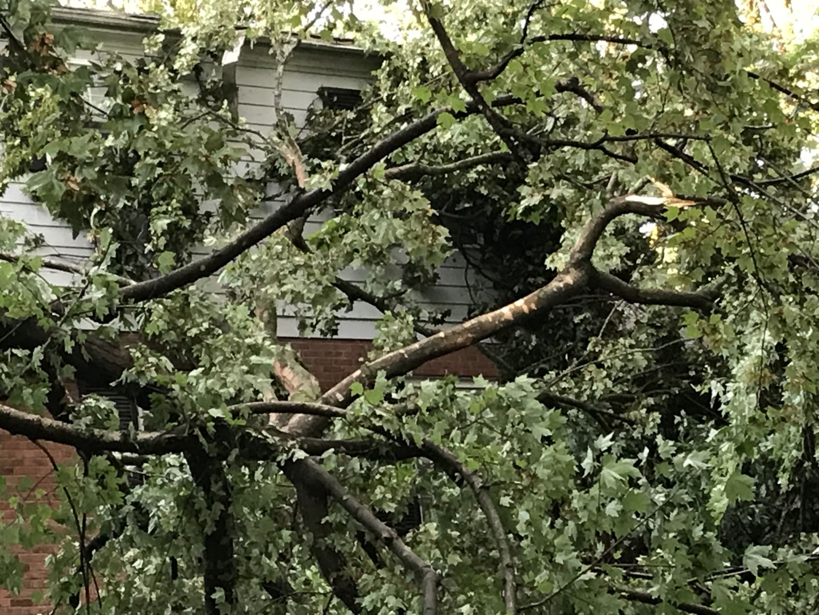 Storm (17).JPG